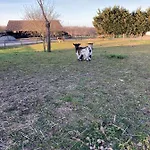 Au Pre Des Alizes - Insolite A La Ferme Des Alizes Шале *