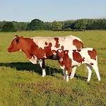 Шале Au Pre Des Alizes - Insolite A La Ferme Des Alizes Vallon-sur-Gee