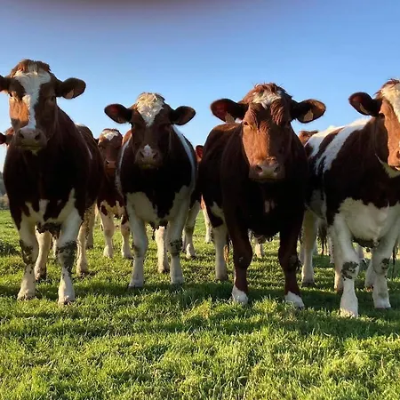Au Pre Des Alizes - Insolite A La Ferme Des Alizes