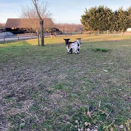 Au Pre Des Alizes - Insolite A La Ferme Des Alizes Chalet *