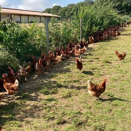 Au Pre Des Alizes - Insolite A La Ferme Des Alizes Chalet Vallon-sur-Gee