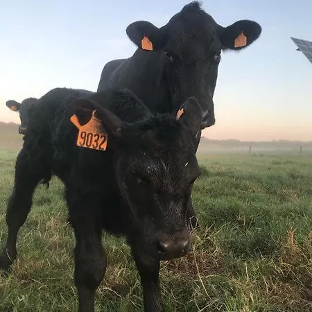 Chalet Au Pre Des Alizes - Insolite A La Ferme Des Alizes *
