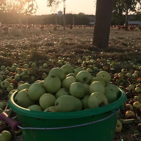 Au Pre Des Alizes - Insolite A La Ferme Des Alizes *