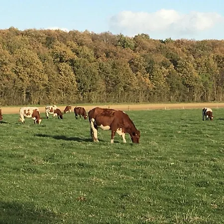 Au Pre Des Alizes - Insolite A La Ferme Des Alizes Vallon-sur-Gee
