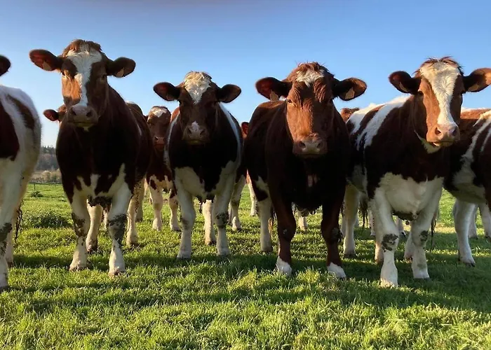 Au Pre Des Alizes - Insolite A La Ferme Des Alizes
